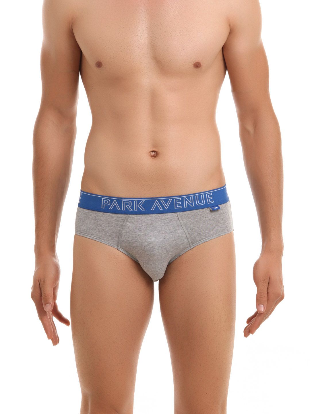 Park Avenue Men Grey Melange Briefs