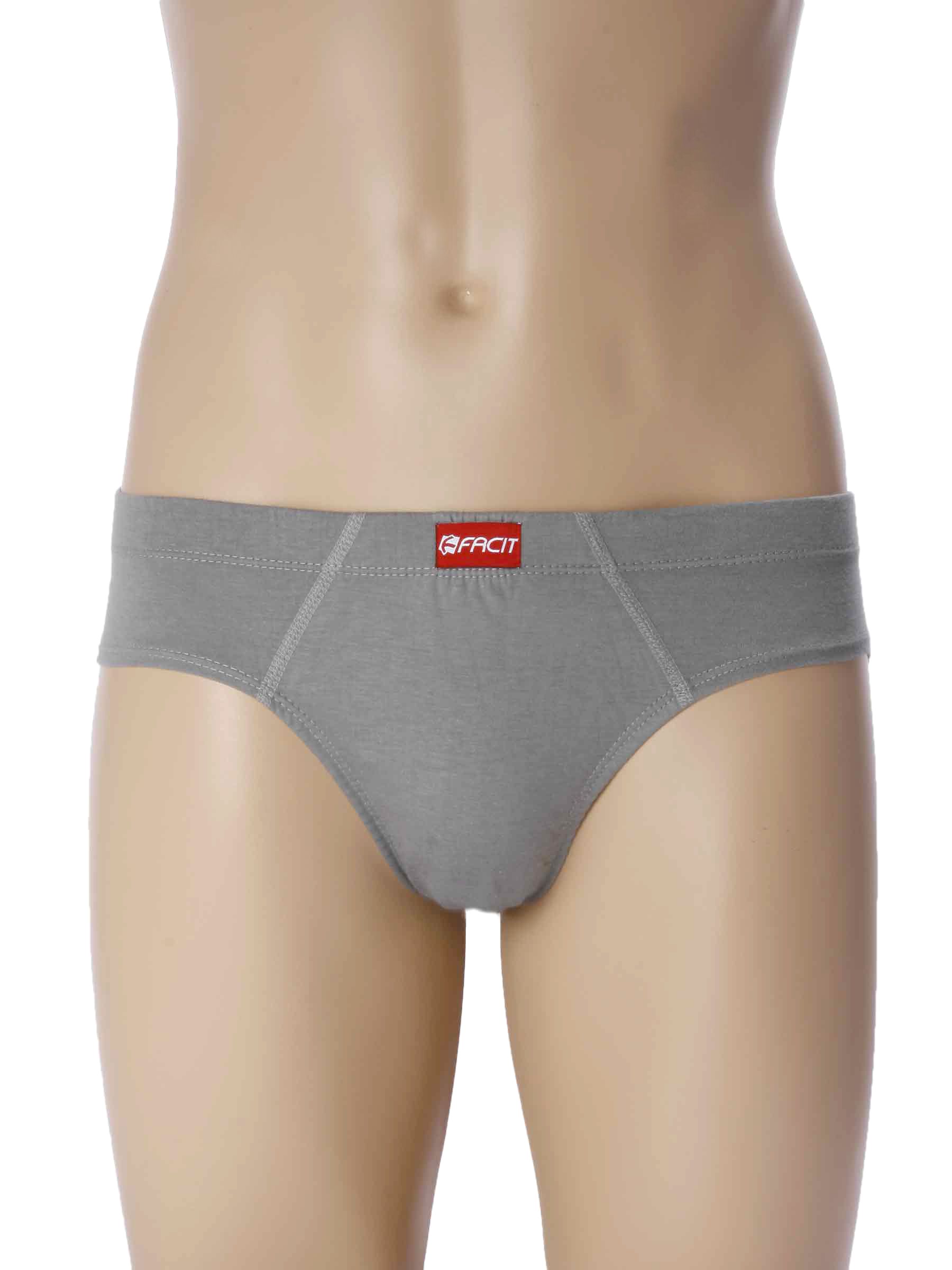 Facit Men Mid- Rise BF Grey Briefs